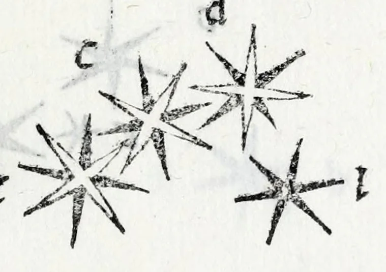 An illustration from De la sfera del mondo. Libri qvattro in lingva toscana: iqvali non per via di traduttione, nè à qual si voglia particolare scrittore obligati: ma parte da i migliori raccogliendo; e parte di nuouo producendo; contengano in se tutto quel ch'intorno à tal materia si possa desiderare; ridotti à tãta ageuolezza, & à cosi facil modo di dimostrare che qual si voglia poco essercitato negli studij di matemmatica potrà ageuolissimamente & con prestezza intenderne il tutto. De le stelle fisse. Libro vno con le sve figvre, e con le sve tauole: doue cõ marauigliosa ageuolezza potrà ciascheduno conoscere qualunque stella dele XLVIII immagini del cielo stellato, e le fauole loro integramente: & sapere in ogni tempo del'anno, à qual si voglia hora di notte, in che parte del cielo si truovino, non solo le dette immagini, ma qualunq[ue] stella di quelle, 1540, leaf 227