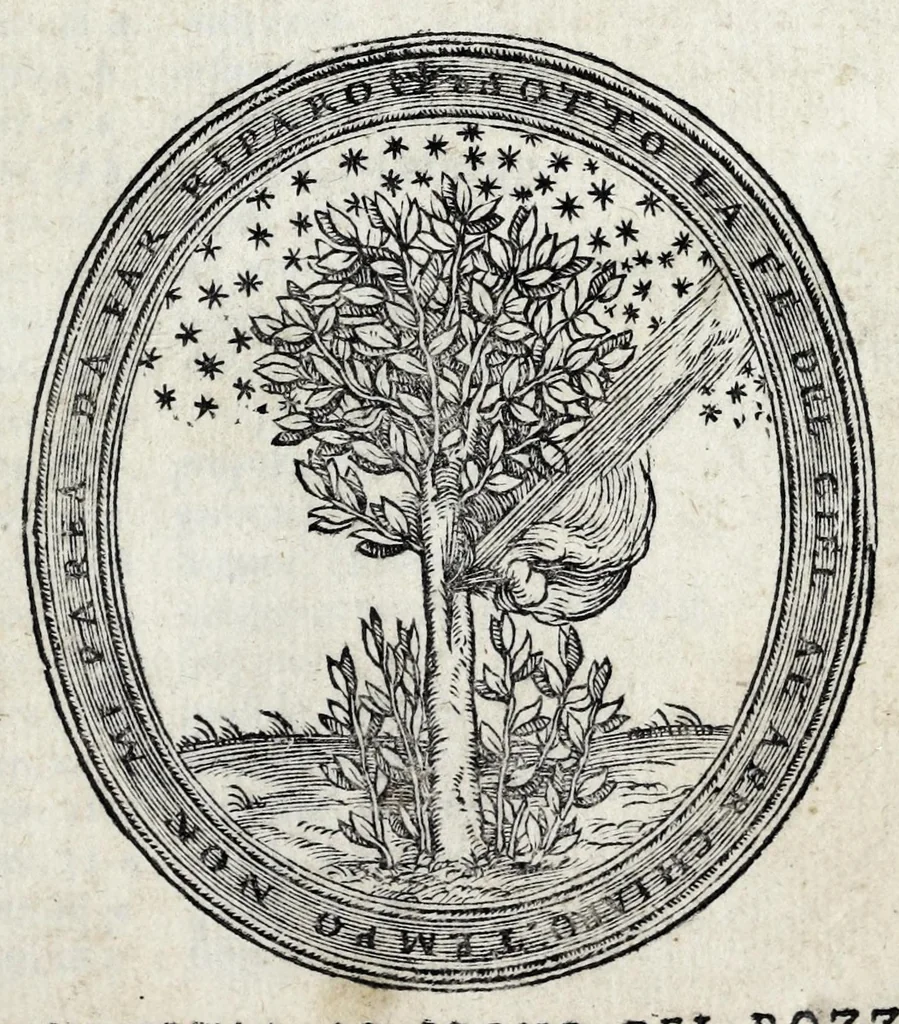 An illustration from De la sfera del mondo. Libri qvattro in lingva toscana: iqvali non per via di traduttione, nè à qual si voglia particolare scrittore obligati: ma parte da i migliori raccogliendo; e parte di nuouo producendo; contengano in se tutto quel ch'intorno à tal materia si possa desiderare; ridotti à tãta ageuolezza, & à cosi facil modo di dimostrare che qual si voglia poco essercitato negli studij di matemmatica potrà ageuolissimamente & con prestezza intenderne il tutto. De le stelle fisse. Libro vno con le sve figvre, e con le sve tauole: doue cõ marauigliosa ageuolezza potrà ciascheduno conoscere qualunque stella dele XLVIII immagini del cielo stellato, e le fauole loro integramente: & sapere in ogni tempo del'anno, à qual si voglia hora di notte, in che parte del cielo si truovino, non solo le dette immagini, ma qualunq[ue] stella di quelle, 1540, leaf 3