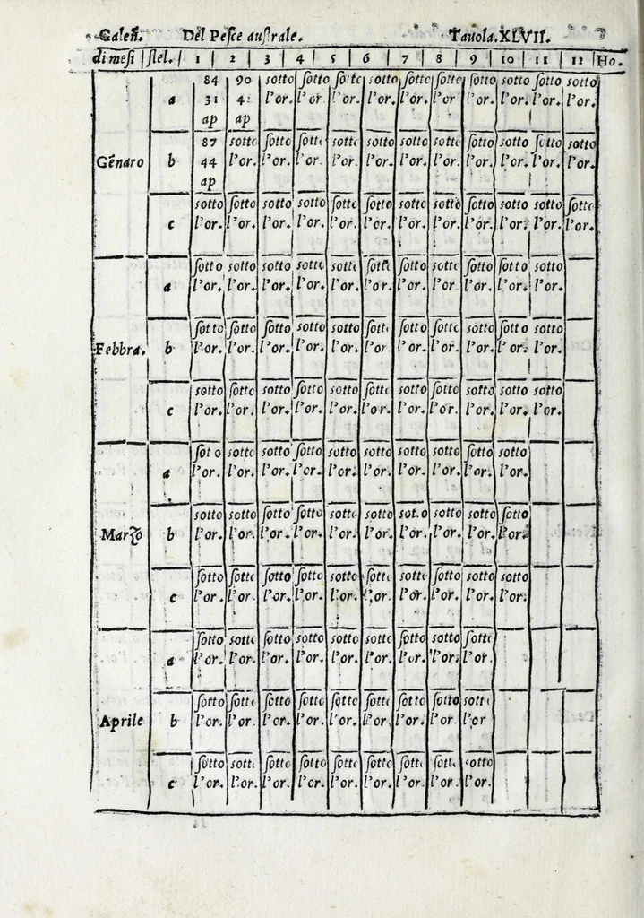 An illustration from De la sfera del mondo. Libri qvattro in lingva toscana: iqvali non per via di traduttione, nè à qual si voglia particolare scrittore obligati: ma parte da i migliori raccogliendo; e parte di nuouo producendo; contengano in se tutto quel ch'intorno à tal materia si possa desiderare; ridotti à tãta ageuolezza, & à cosi facil modo di dimostrare che qual si voglia poco essercitato negli studij di matemmatica potrà ageuolissimamente & con prestezza intenderne il tutto. De le stelle fisse. Libro vno con le sve figvre, e con le sve tauole: doue cõ marauigliosa ageuolezza potrà ciascheduno conoscere qualunque stella dele XLVIII immagini del cielo stellato, e le fauole loro integramente: & sapere in ogni tempo del'anno, à qual si voglia hora di notte, in che parte del cielo si truovino, non solo le dette immagini, ma qualunq[ue] stella di quelle, 1540, leaf 400