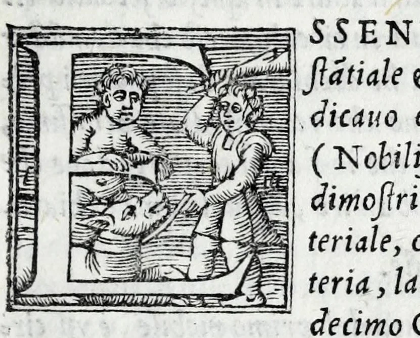 An illustration from De la sfera del mondo. Libri qvattro in lingva toscana: iqvali non per via di traduttione, nè à qual si voglia particolare scrittore obligati: ma parte da i migliori raccogliendo; e parte di nuouo producendo; contengano in se tutto quel ch'intorno à tal materia si possa desiderare; ridotti à tãta ageuolezza, & à cosi facil modo di dimostrare che qual si voglia poco essercitato negli studij di matemmatica potrà ageuolissimamente & con prestezza intenderne il tutto. De le stelle fisse. Libro vno con le sve figvre, e con le sve tauole: doue cõ marauigliosa ageuolezza potrà ciascheduno conoscere qualunque stella dele XLVIII immagini del cielo stellato, e le fauole loro integramente: & sapere in ogni tempo del'anno, à qual si voglia hora di notte, in che parte del cielo si truovino, non solo le dette immagini, ma qualunq[ue] stella di quelle, 1540, leaf 45