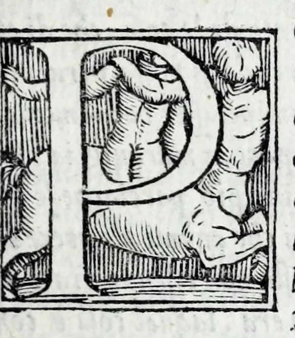 An illustration from De la sfera del mondo. Libri qvattro in lingva toscana: iqvali non per via di traduttione, nè à qual si voglia particolare scrittore obligati: ma parte da i migliori raccogliendo; e parte di nuouo producendo; contengano in se tutto quel ch'intorno à tal materia si possa desiderare; ridotti à tãta ageuolezza, & à cosi facil modo di dimostrare che qual si voglia poco essercitato negli studij di matemmatica potrà ageuolissimamente & con prestezza intenderne il tutto. De le stelle fisse. Libro vno con le sve figvre, e con le sve tauole: doue cõ marauigliosa ageuolezza potrà ciascheduno conoscere qualunque stella dele XLVIII immagini del cielo stellato, e le fauole loro integramente: & sapere in ogni tempo del'anno, à qual si voglia hora di notte, in che parte del cielo si truovino, non solo le dette immagini, ma qualunq[ue] stella di quelle, 1540, leaf 95
