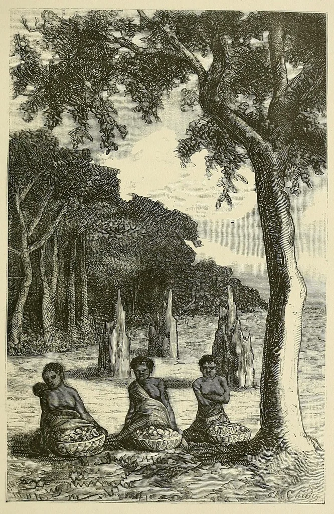 An illustration from De l'Atlantique au Niger par le Foutah-Djallon : carnet de voyage, 1882, leaf 179
