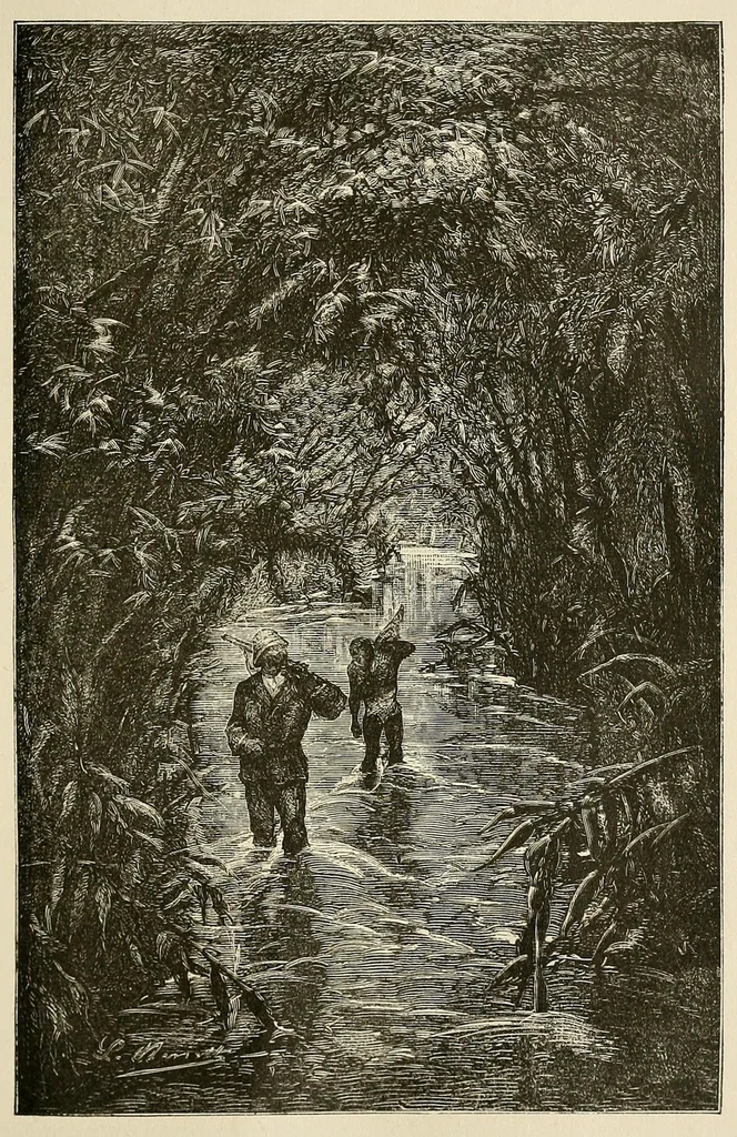 An illustration from De l'Atlantique au Niger par le Foutah-Djallon : carnet de voyage, 1882, leaf 393