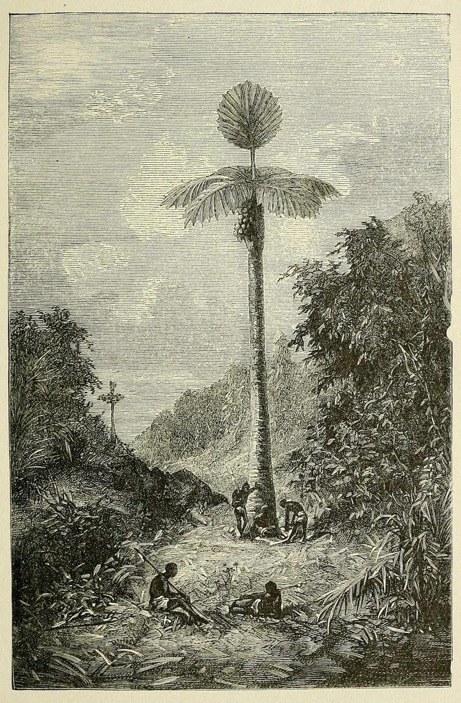 An illustration from De l'Atlantique au Niger par le Foutah-Djallon : carnet de voyage, 1882, leaf 57
