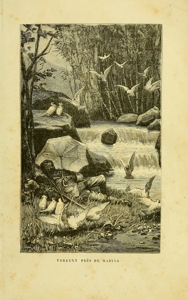 An illustration from De l'Atlantique au Niger par le Foutah-Djallon : carnet de voyage, 1883, leaf 109