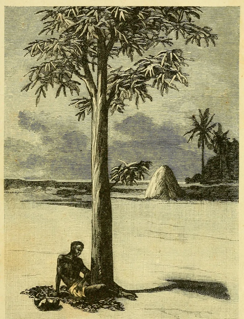 An illustration from De l'Atlantique au Niger par le Foutah-Djallon : carnet de voyage, 1883, leaf 117