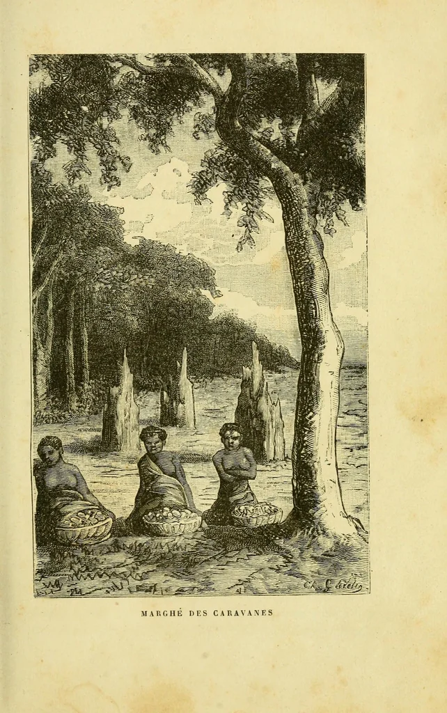 An illustration from De l'Atlantique au Niger par le Foutah-Djallon : carnet de voyage, 1883, leaf 141
