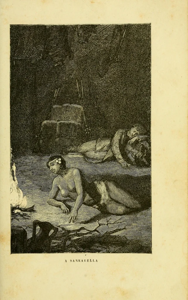 An illustration from De l'Atlantique au Niger par le Foutah-Djallon : carnet de voyage, 1883, leaf 271