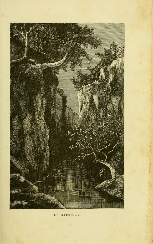 An illustration from De l'Atlantique au Niger par le Foutah-Djallon : carnet de voyage, 1883, leaf 289