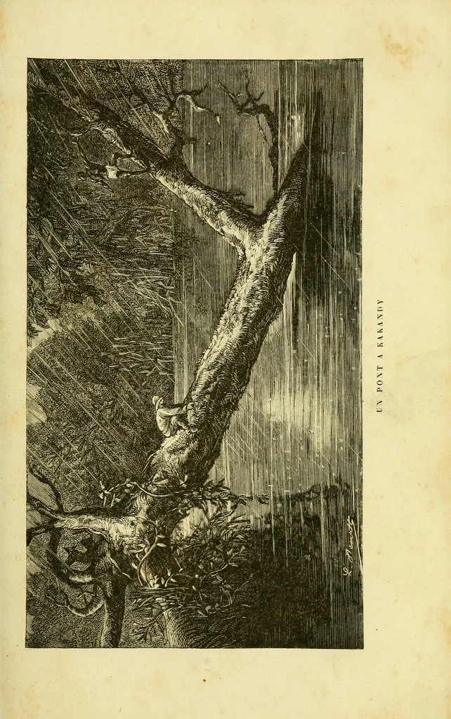 An illustration from De l'Atlantique au Niger par le Foutah-Djallon : carnet de voyage, 1883, leaf 305