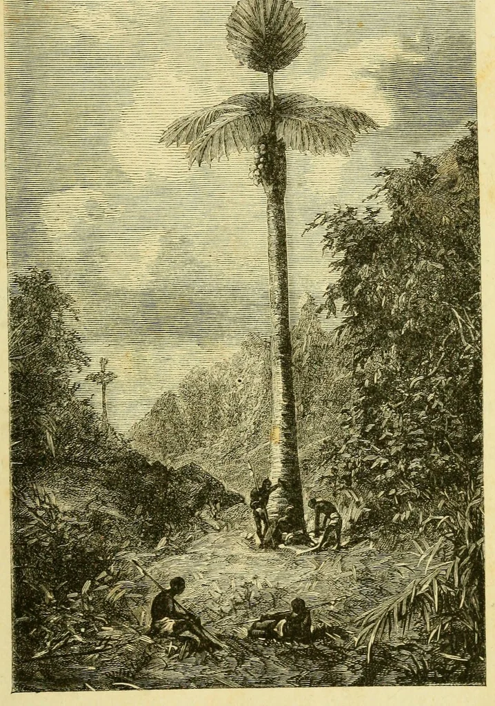 An illustration from De l'Atlantique au Niger par le Foutah-Djallon : carnet de voyage, 1883, leaf 59