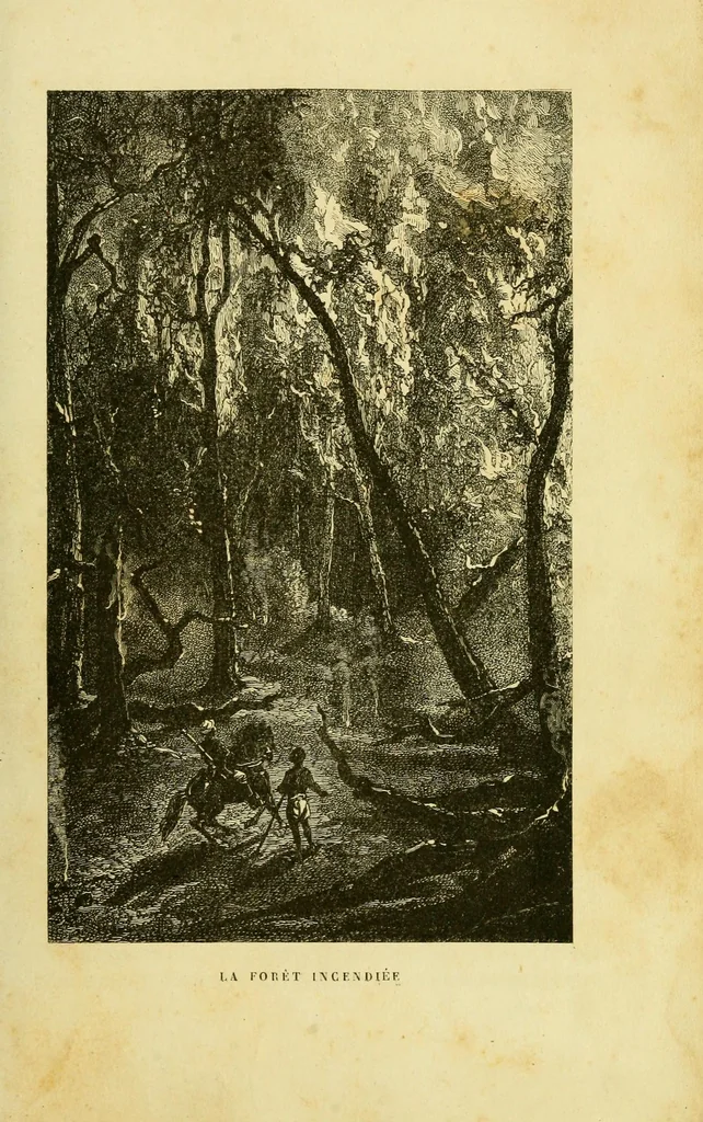 An illustration from De l'Atlantique au Niger par le Foutah-Djallon : carnet de voyage, 1883, leaf 77