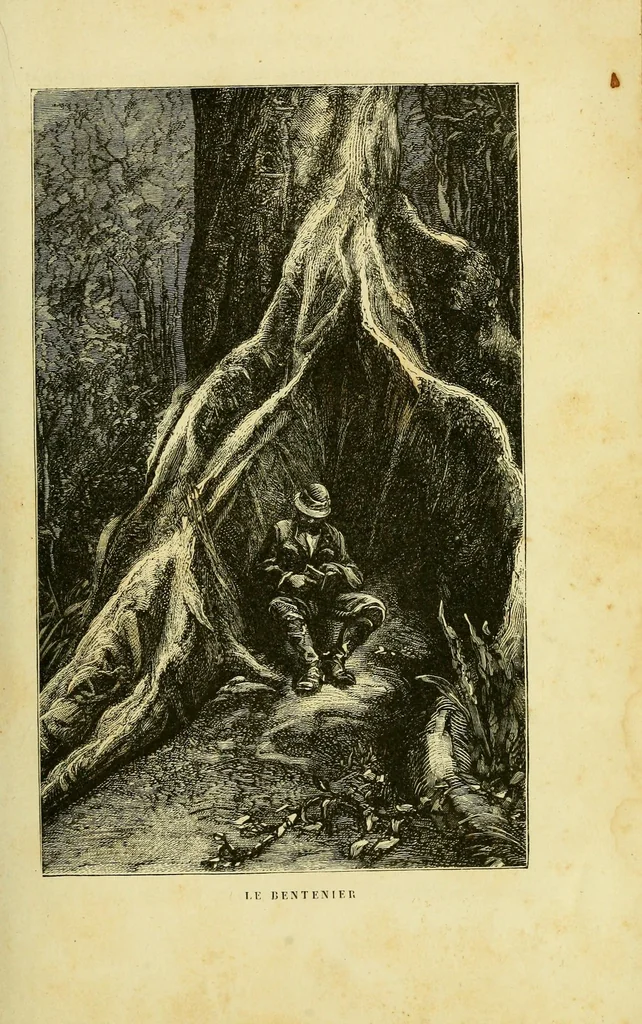 An illustration from De l'Atlantique au Niger par le Foutah-Djallon : carnet de voyage, 1883, leaf 87