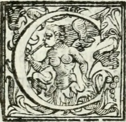 An illustration from Del campo aperto, mantenvto in Ferrara, l' anno M.DC.X. la notte di carnouale : dall'Illustriss. Signor Enzo Bentivogli, mantenitore della querela, pubblicata nella seguente disfida da un'araldo, à suon di trombe, il di 6. febraio, su'l corso, pieno di tutta la città mascherata : sontuosissima, e magnifica inuenzione, 1610, leaf 17