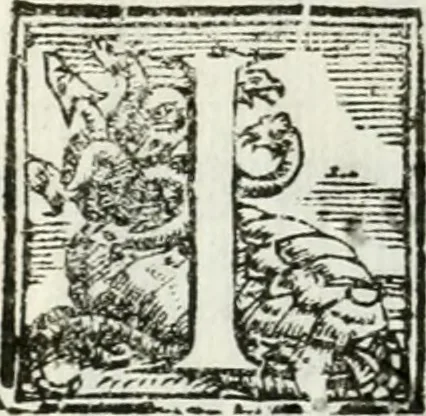 An illustration from Del campo aperto, mantenvto in Ferrara, l' anno M.DC.X. la notte di carnouale : dall'Illustriss. Signor Enzo Bentivogli, mantenitore della querela, pubblicata nella seguente disfida da un'araldo, à suon di trombe, il di 6. febraio, su'l corso, pieno di tutta la città mascherata : sontuosissima, e magnifica inuenzione, 1610, leaf 19