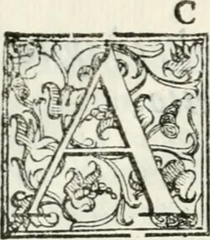An illustration from Del campo aperto, mantenvto in Ferrara, l' anno M.DC.X. la notte di carnouale : dall'Illustriss. Signor Enzo Bentivogli, mantenitore della querela, pubblicata nella seguente disfida da un'araldo, à suon di trombe, il di 6. febraio, su'l corso, pieno di tutta la città mascherata : sontuosissima, e magnifica inuenzione, 1610, leaf 27