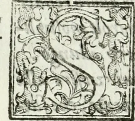 An illustration from Del campo aperto, mantenvto in Ferrara, l' anno M.DC.X. la notte di carnouale : dall'Illustriss. Signor Enzo Bentivogli, mantenitore della querela, pubblicata nella seguente disfida da un'araldo, à suon di trombe, il di 6. febraio, su'l corso, pieno di tutta la città mascherata : sontuosissima, e magnifica inuenzione, 1610, leaf 35