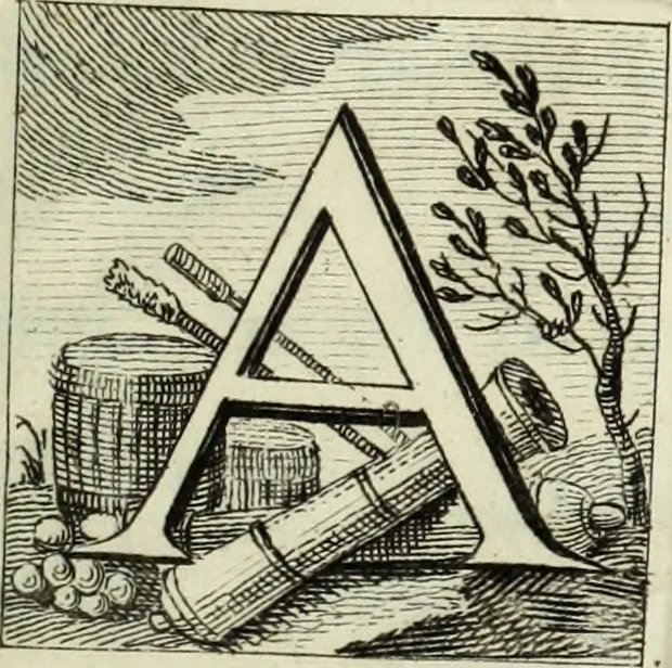An illustration from Del conduttore elettrico posto nel campanile di S. Marco in Venezia : memoria, in cui occasionalmente si ragiona dei conduttori che possono applicarsi ai vascelli, ai magazzini da polvere, ed altri edifizj, 1776, leaf 6