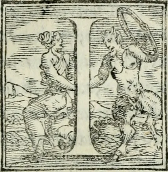 An illustration from De le lettere di m. Clavdio Tolomei lib. sette. Con vna breve dichiarazione in fine di tvtto l'ordin de l'ortografia di qvesta opera, 1547, leaf 102