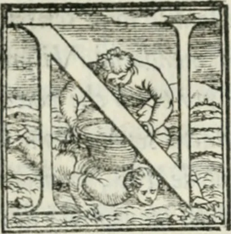 An illustration from De le lettere di m. Clavdio Tolomei lib. sette. Con vna breve dichiarazione in fine di tvtto l'ordin de l'ortografia di qvesta opera, 1547, leaf 107