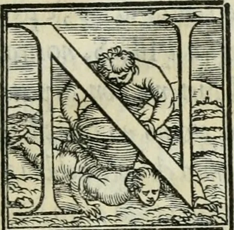 An illustration from De le lettere di m. Clavdio Tolomei lib. sette. Con vna breve dichiarazione in fine di tvtto l'ordin de l'ortografia di qvesta opera, 1547, leaf 12