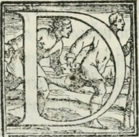 An illustration from De le lettere di m. Clavdio Tolomei lib. sette. Con vna breve dichiarazione in fine di tvtto l'ordin de l'ortografia di qvesta opera, 1547, leaf 123