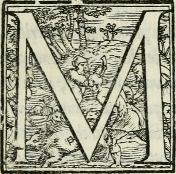 An illustration from De le lettere di m. Clavdio Tolomei lib. sette. Con vna breve dichiarazione in fine di tvtto l'ordin de l'ortografia di qvesta opera, 1547, leaf 124