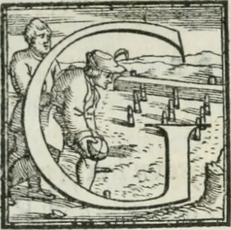 An illustration from De le lettere di m. Clavdio Tolomei lib. sette. Con vna breve dichiarazione in fine di tvtto l'ordin de l'ortografia di qvesta opera, 1547, leaf 13