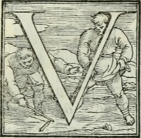 An illustration from De le lettere di m. Clavdio Tolomei lib. sette. Con vna breve dichiarazione in fine di tvtto l'ordin de l'ortografia di qvesta opera, 1547, leaf 138