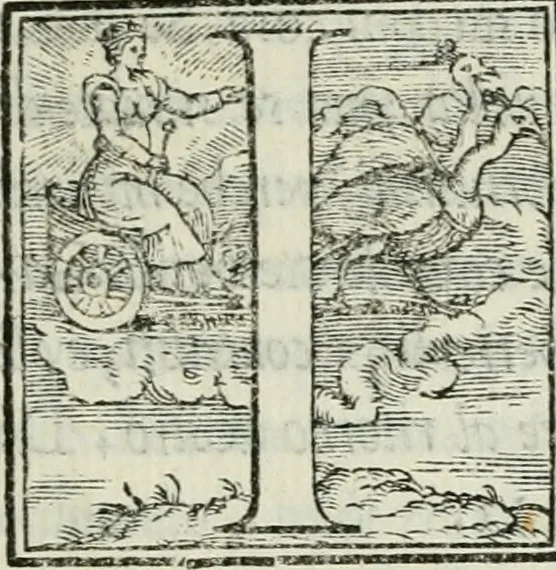 An illustration from De le lettere di m. Clavdio Tolomei lib. sette. Con vna breve dichiarazione in fine di tvtto l'ordin de l'ortografia di qvesta opera, 1547, leaf 142