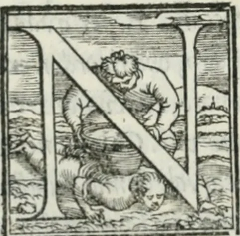 An illustration from De le lettere di m. Clavdio Tolomei lib. sette. Con vna breve dichiarazione in fine di tvtto l'ordin de l'ortografia di qvesta opera, 1547, leaf 143