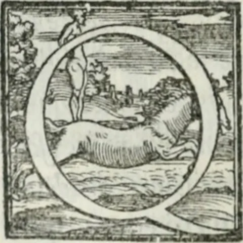 An illustration from De le lettere di m. Clavdio Tolomei lib. sette. Con vna breve dichiarazione in fine di tvtto l'ordin de l'ortografia di qvesta opera, 1547, leaf 155