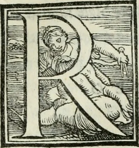An illustration from De le lettere di m. Clavdio Tolomei lib. sette. Con vna breve dichiarazione in fine di tvtto l'ordin de l'ortografia di qvesta opera, 1547, leaf 158