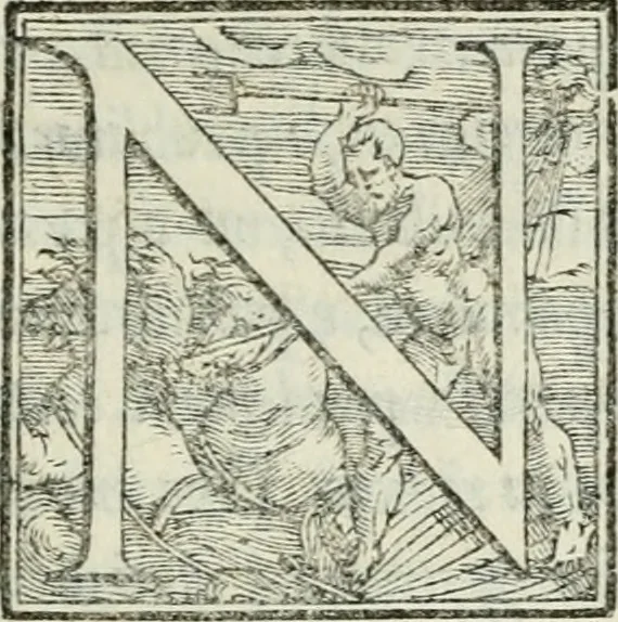 An illustration from De le lettere di m. Clavdio Tolomei lib. sette. Con vna breve dichiarazione in fine di tvtto l'ordin de l'ortografia di qvesta opera, 1547, leaf 184