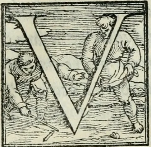 An illustration from De le lettere di m. Clavdio Tolomei lib. sette. Con vna breve dichiarazione in fine di tvtto l'ordin de l'ortografia di qvesta opera, 1547, leaf 194