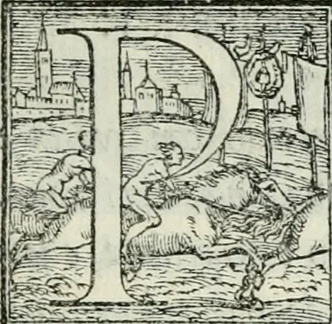 An illustration from De le lettere di m. Clavdio Tolomei lib. sette. Con vna breve dichiarazione in fine di tvtto l'ordin de l'ortografia di qvesta opera, 1547, leaf 200