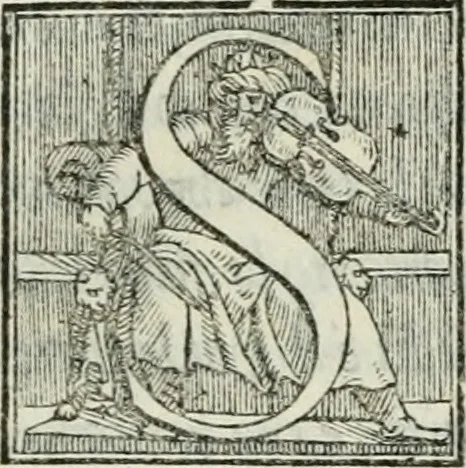 An illustration from De le lettere di m. Clavdio Tolomei lib. sette. Con vna breve dichiarazione in fine di tvtto l'ordin de l'ortografia di qvesta opera, 1547, leaf 202