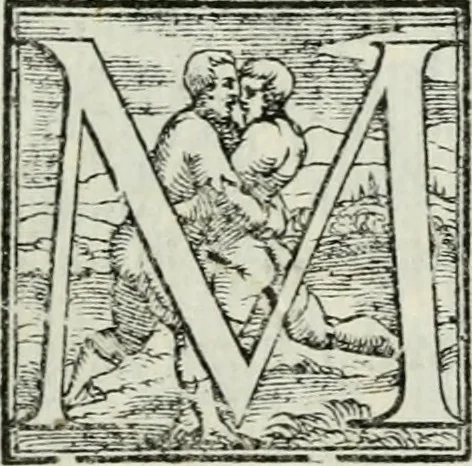 An illustration from De le lettere di m. Clavdio Tolomei lib. sette. Con vna breve dichiarazione in fine di tvtto l'ordin de l'ortografia di qvesta opera, 1547, leaf 204