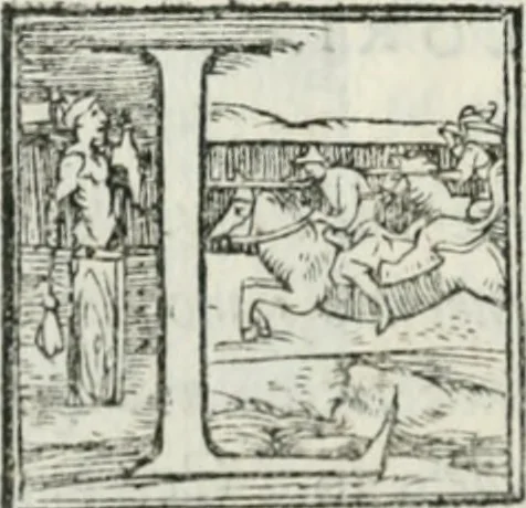 An illustration from De le lettere di m. Clavdio Tolomei lib. sette. Con vna breve dichiarazione in fine di tvtto l'ordin de l'ortografia di qvesta opera, 1547, leaf 207