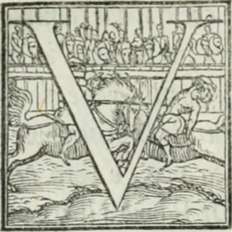 An illustration from De le lettere di m. Clavdio Tolomei lib. sette. Con vna breve dichiarazione in fine di tvtto l'ordin de l'ortografia di qvesta opera, 1547, leaf 211