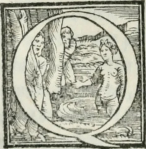 An illustration from De le lettere di m. Clavdio Tolomei lib. sette. Con vna breve dichiarazione in fine di tvtto l'ordin de l'ortografia di qvesta opera, 1547, leaf 211
