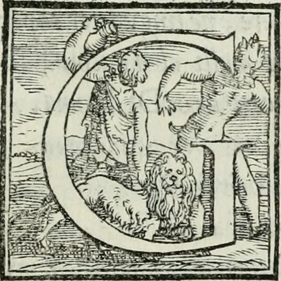 An illustration from De le lettere di m. Clavdio Tolomei lib. sette. Con vna breve dichiarazione in fine di tvtto l'ordin de l'ortografia di qvesta opera, 1547, leaf 216