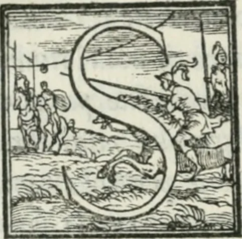 An illustration from De le lettere di m. Clavdio Tolomei lib. sette. Con vna breve dichiarazione in fine di tvtto l'ordin de l'ortografia di qvesta opera, 1547, leaf 219