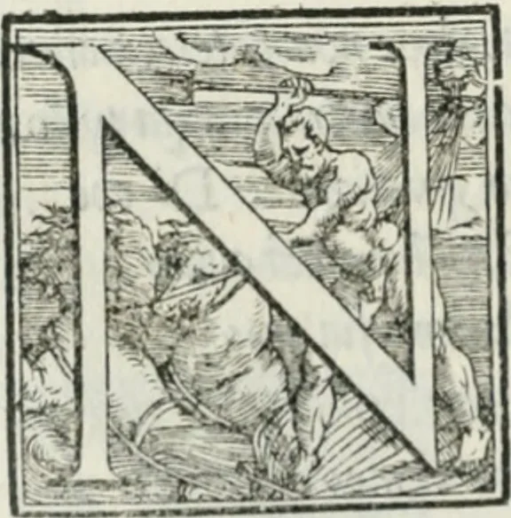 An illustration from De le lettere di m. Clavdio Tolomei lib. sette. Con vna breve dichiarazione in fine di tvtto l'ordin de l'ortografia di qvesta opera, 1547, leaf 219