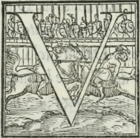 An illustration from De le lettere di m. Clavdio Tolomei lib. sette. Con vna breve dichiarazione in fine di tvtto l'ordin de l'ortografia di qvesta opera, 1547, leaf 227