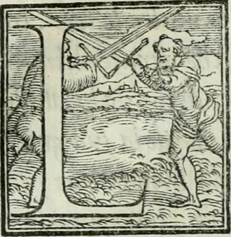 An illustration from De le lettere di m. Clavdio Tolomei lib. sette. Con vna breve dichiarazione in fine di tvtto l'ordin de l'ortografia di qvesta opera, 1547, leaf 228