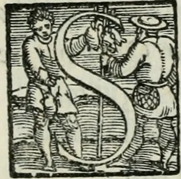 An illustration from De le lettere di m. Clavdio Tolomei lib. sette. Con vna breve dichiarazione in fine di tvtto l'ordin de l'ortografia di qvesta opera, 1547, leaf 228