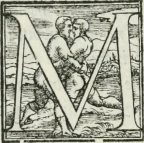 An illustration from De le lettere di m. Clavdio Tolomei lib. sette. Con vna breve dichiarazione in fine di tvtto l'ordin de l'ortografia di qvesta opera, 1547, leaf 229