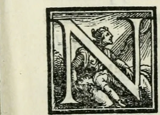 An illustration from De le lettere di m. Clavdio Tolomei lib. sette. Con vna breve dichiarazione in fine di tvtto l'ordin de l'ortografia di qvesta opera, 1547, leaf 234