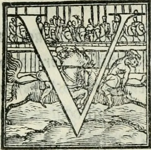 An illustration from De le lettere di m. Clavdio Tolomei lib. sette. Con vna breve dichiarazione in fine di tvtto l'ordin de l'ortografia di qvesta opera, 1547, leaf 238